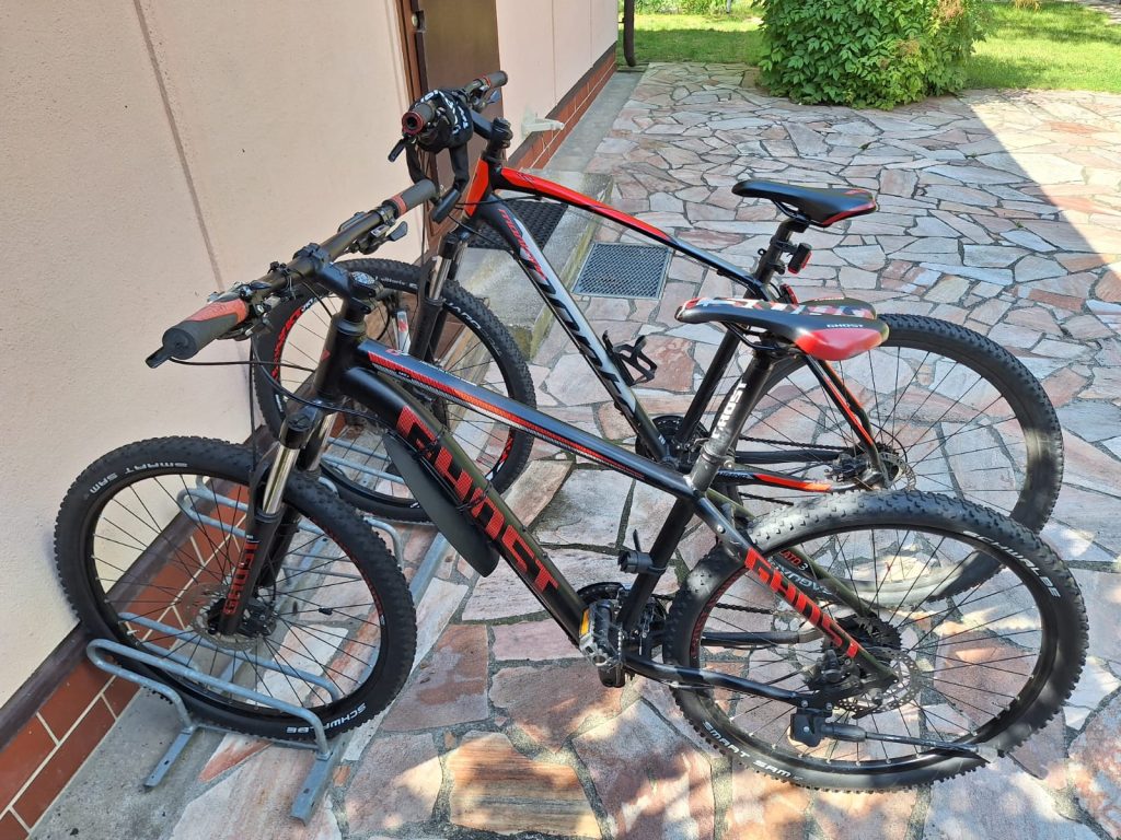 Rental Bikes